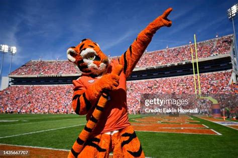 Clemson Mascot Photos and Premium High Res Pictures - Getty Images