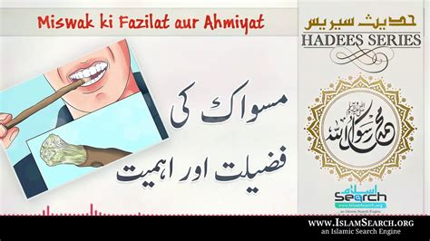 Miswak ki Fazilat aur Ahmiyat مسواک کی اہمیت اور فضیلت Urdu Hadees