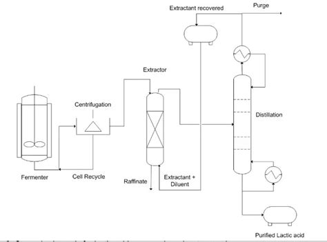 Lactic Acid Fermentation • Microbe Online 