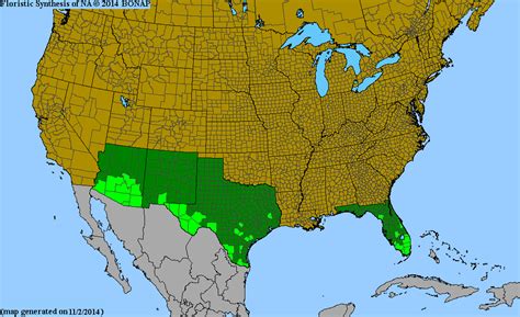 2013 Bonap North American Plant Atlas Taxonmaps