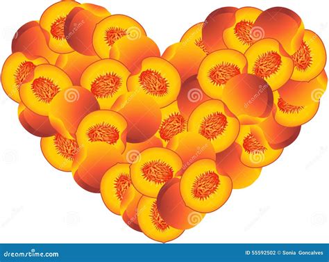 Peach Heart Shaped Stock Vector Illustration Of Heart 55592502