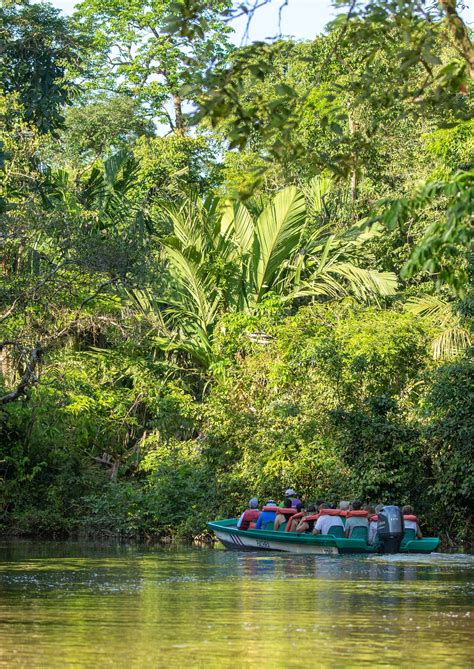 Tortuguero national park – Artofit