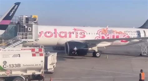 Furor Por Barbie Hasta Volaris Promociona Pel Cula