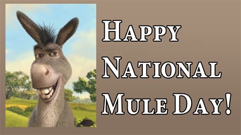 Happy National Mule Day! by supercharlie623 on DeviantArt