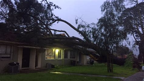 California storm damage scenes across San Francisco - Curbed SF