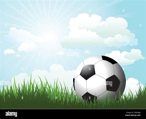 Pallone Da Calcio In Erba Immagini Vettoriali Stock Alamy