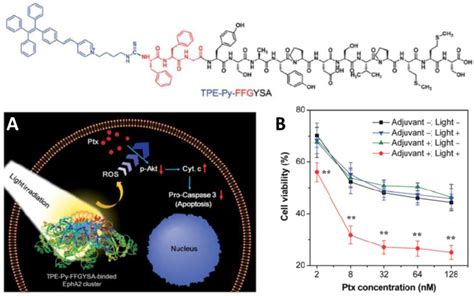 Top Structure Of Tpe Py Ffgysa A Schematic Illustration Of The