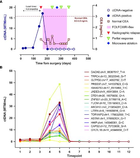 CtDNA Dynamics Throughout The Clinical Course A Overview Plot