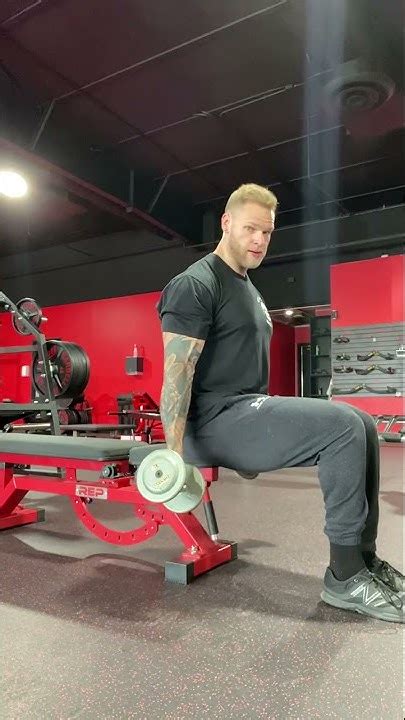 Seated Alternating Supinated Db Curls Youtube