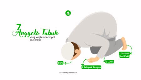 Tata Cara Sujud Sunnah Dan Anggota Tubuh Yang Benar