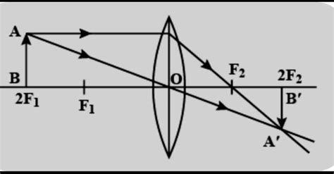 Draw Ray Diagram To Describe The Nature Position And Relative Size Of