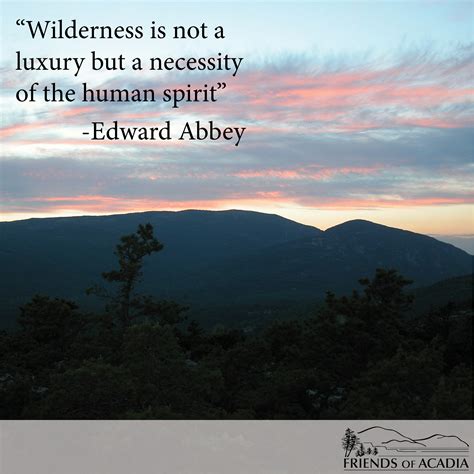 Edward Abbey Quotes. QuotesGram