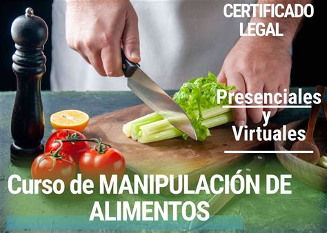 Curso Manipulaci N De Alimentos Certem