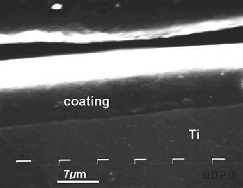 Figure 1 From Nanomechanical Properties Evaluation Of Bioactive Glass