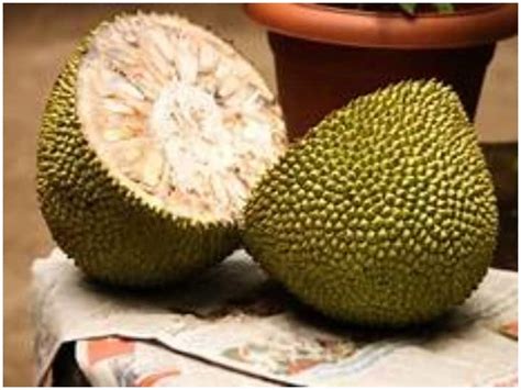 Health Care What Not To Eat After Eating Jackfruit Health Care