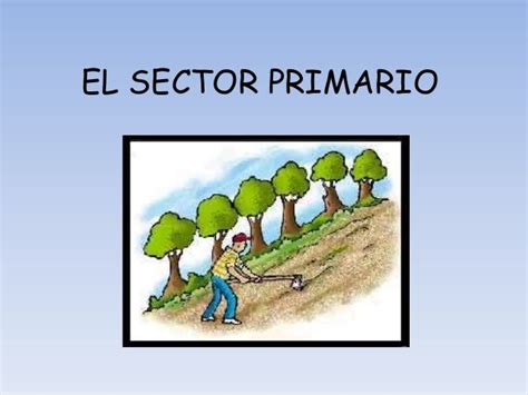 El Sector Primario