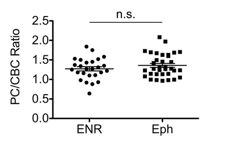 Paneth Cell Rich Regions Separated By A Cluster Of Lgr Cells Initiate