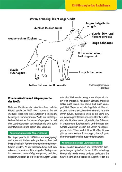 Arbeitsmaterial Grundschule Sachunterricht Der Wolf