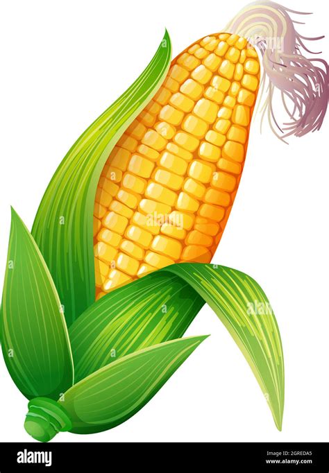 Corn Cob Clip Art