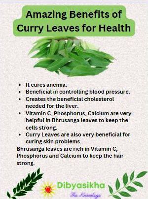 Curry Leaves - 7 Amazing Health Benefits