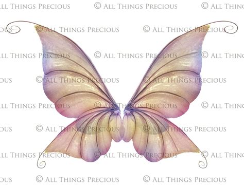 Png Fairy Wing Overlays Variety Bundle Overlays Insect Wings