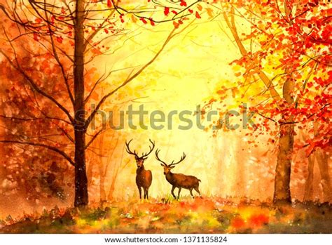 Watercolor Painting Deer Autumn Forest Stock Illustration 1371135824 ...