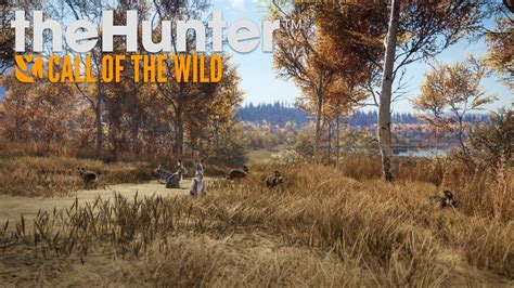 Bardzo Udane Polowanie W Grze The Hunter Call Of The Wild 3 YouTube