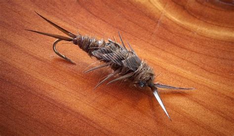 Flynns Stonefly Nymph Fly Fishing Gink And Gasoline How To Fly