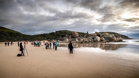 Whisky Bay Wilsons Prom 25 Russell Charters Flickr