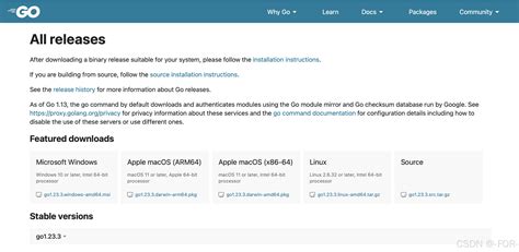 golang MAC Go环境搭建 VsCode配置 CSDN博客