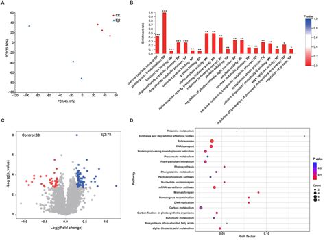 Frontiers Effects Of Rice Blast Biocontrol Strain Pseudomonas