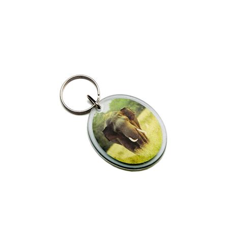 Acrylic Key Rings Promogallery