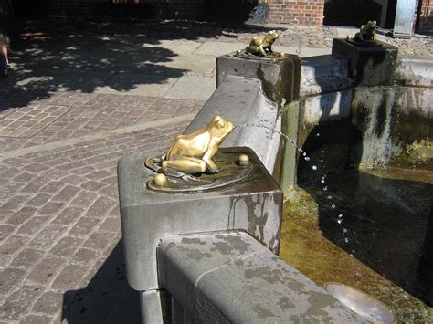 Frog Fountain Water Free Photo On Pixabay Pixabay