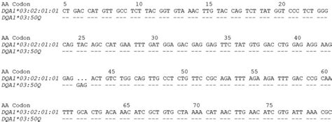 Alignment Of The Sequence Of Exon 2 Of DQA1 03 50Q With The Sequence Of