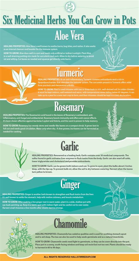 Healing Properties Of Herbs