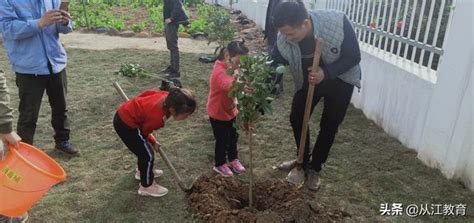 從江縣翠里鄉中心幼兒園開展植樹節活動 每日頭條