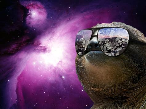 Sloth Unreal Galaxy Trippy Money Boss Hipster Mine Aviators