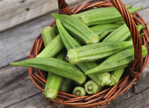 Okra 10 Health Benefits Of Okra