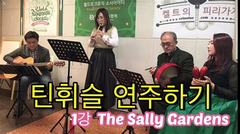 해변에서 틴휘슬 연주하고 손이 꽁꽁 The Sally Gardens 버드나무 정원아래에서 Old MacDonalds