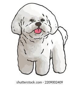 403 Bichon Frise Drawing Images, Stock Photos & Vectors | Shutterstock