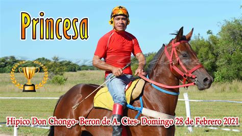 PRINCESA Potrillos Debutantes Hip Don Chongo Beron De A Ctes 28