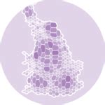 Interactive Choropleth Map With R And Leaflet The R Graph Gallery