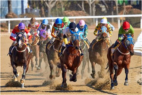 A Brief Overview of Horse Racing History - the ninth world