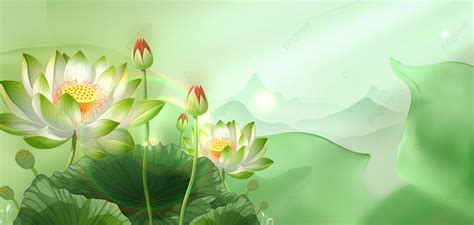 Summer Summer Lotus Leaf Green Simple Background Summer The Summer