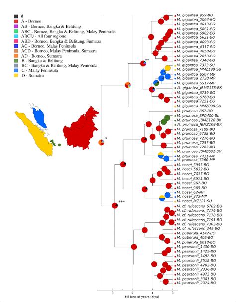 Ancestral Area Reconstruction According To The Dec J Model Calculated