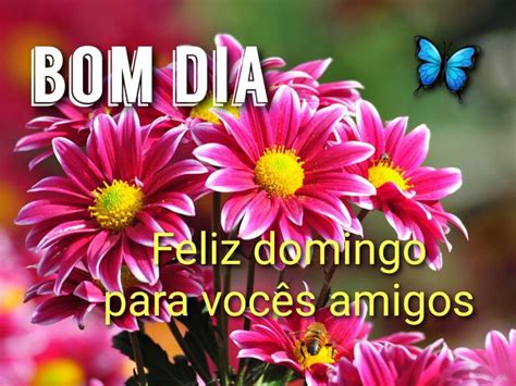 Mensagens De Bom Dia Domingo Flores Envie Pelo Whatsapp Pensamentos