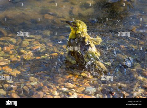 Bath Hi Res Stock Photography And Images Alamy