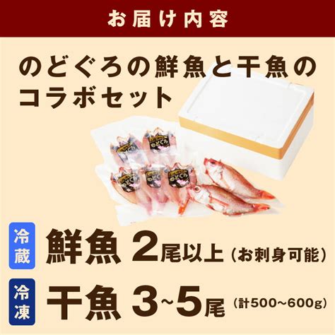 【楽天市場】【ふるさと納税】のどぐろの鮮魚と干魚のコラボセット 魚介類 魚介 魚 のどぐろ 干物 鮮魚 一夜干し お刺身 セット ふるさと納税