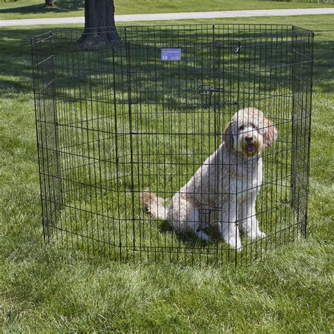 The 9 Best Dog Fences For Your Yard