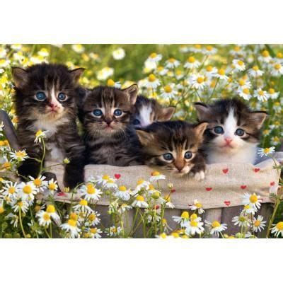 Puzzle Chatons Dans Le Jardin Fleuri Cdiscount Jeux Jouets